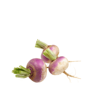 turnip