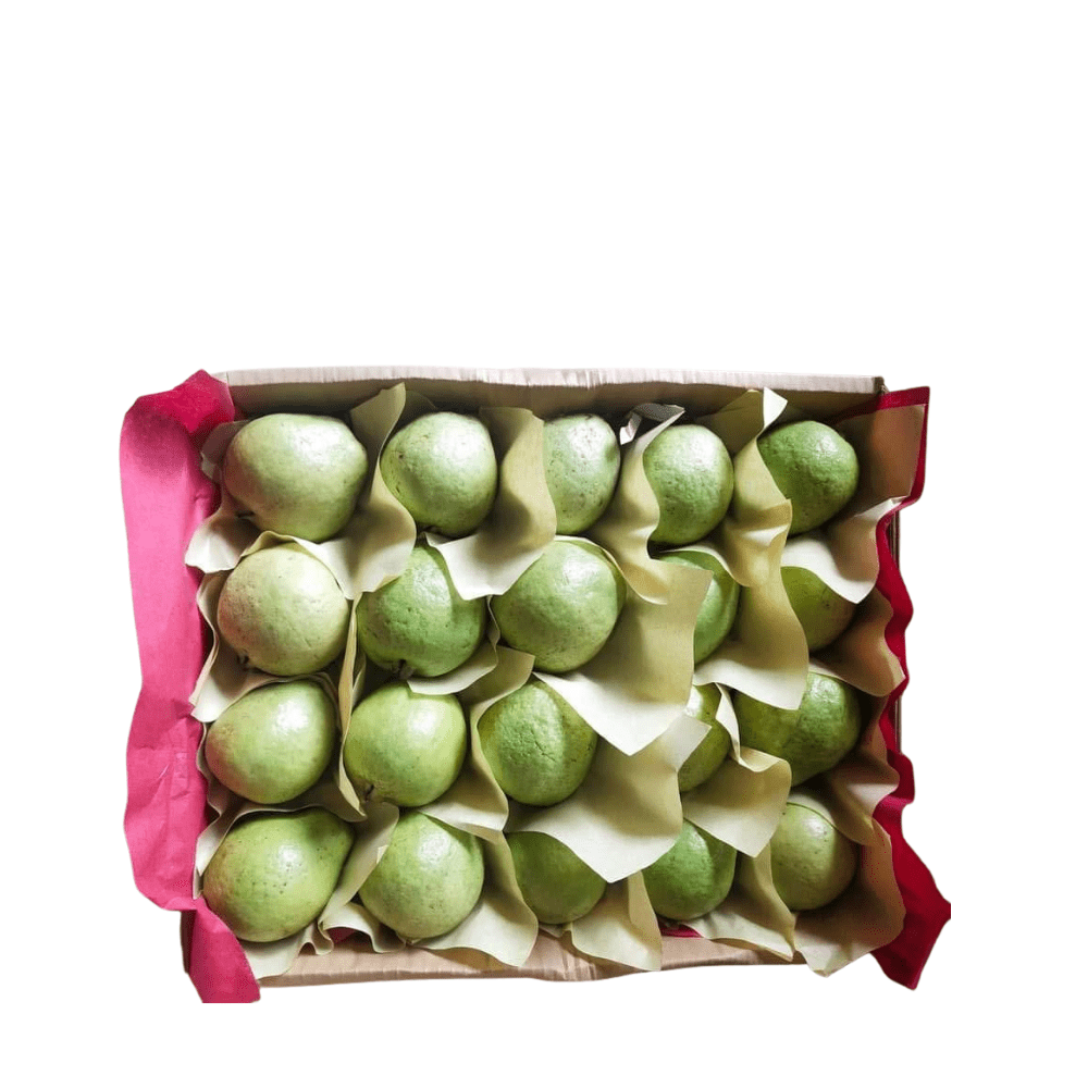 guava