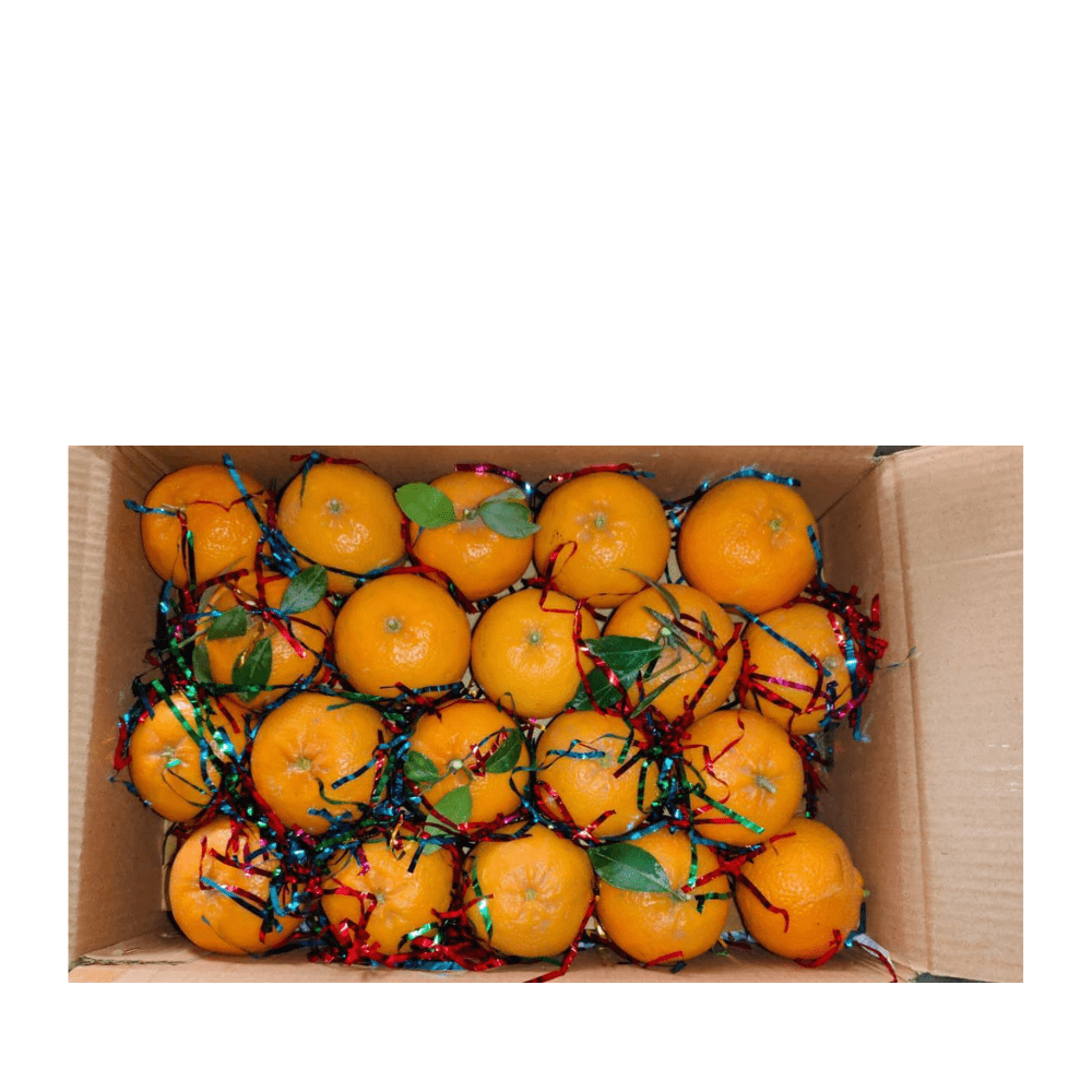fruiter