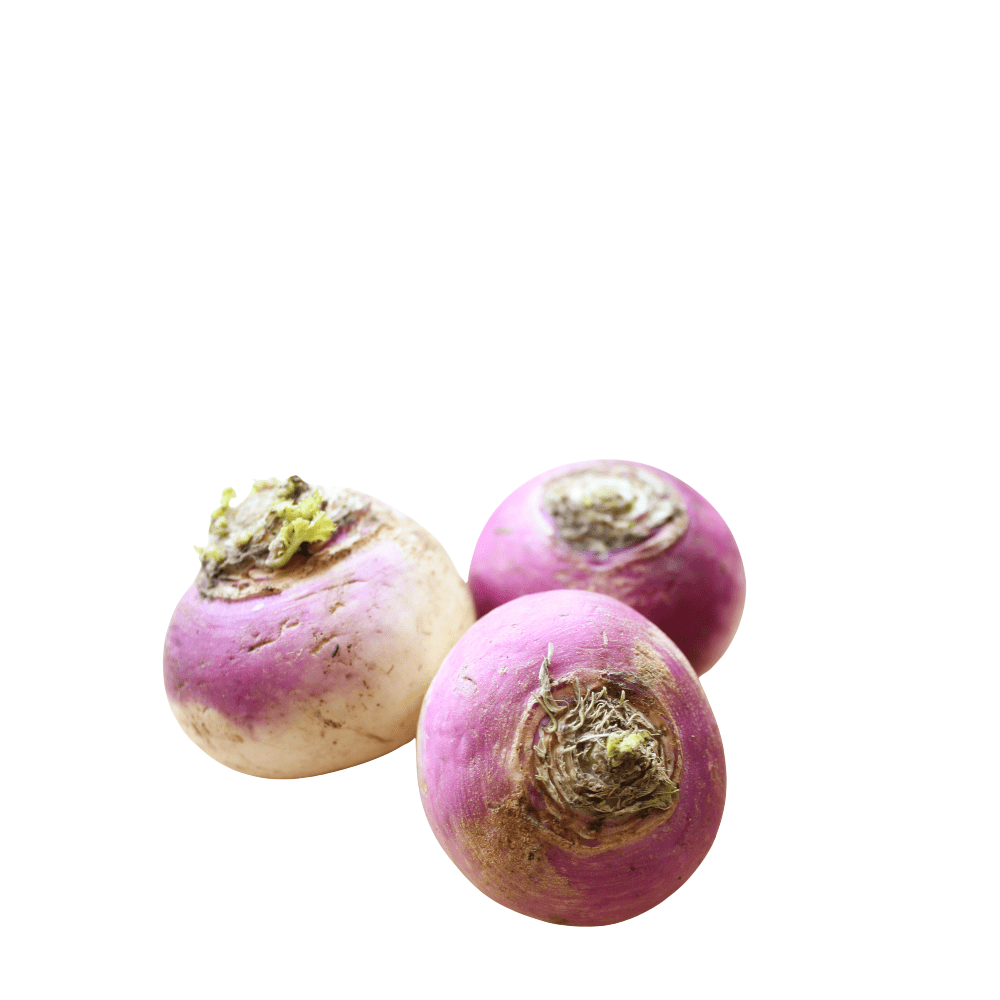 turnip